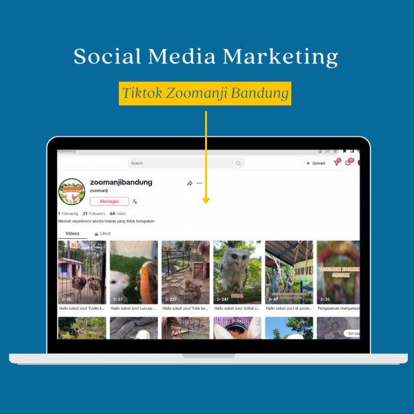 Social Media Marketing Zoomanji Bandung Tiktok